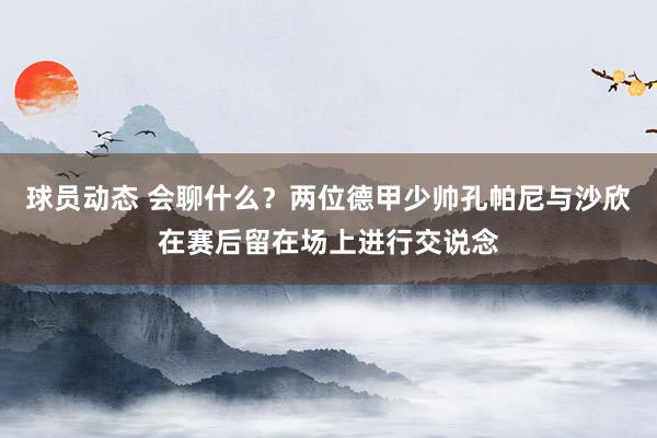 球员动态 会聊什么？两位德甲少帅孔帕尼与沙欣在赛后留在场上进行交说念