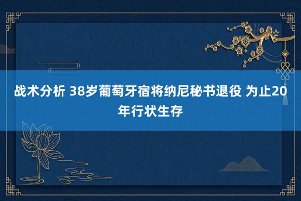 战术分析 38岁葡萄牙宿将纳尼秘书退役 为止20年行状生存